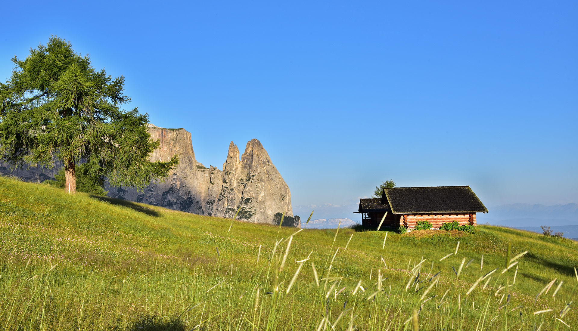 Escursioni sull'Alpe di Siusi